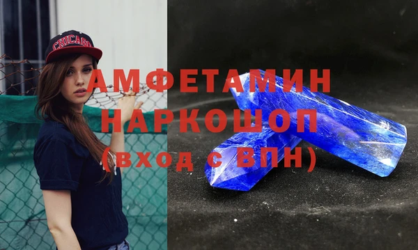 дмт Богданович